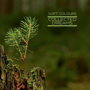 一级A片四川少妇大白奶
